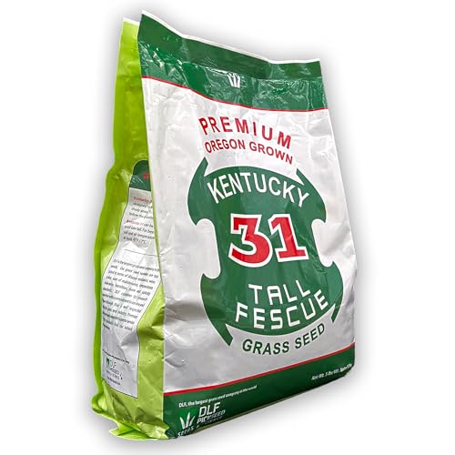 Kentucky 31 Tall Fescue Grass Seed 5 lb Bag P489