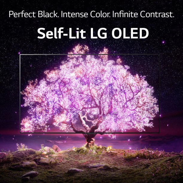 48 Class 4K UHD Smart TV OLED E65488