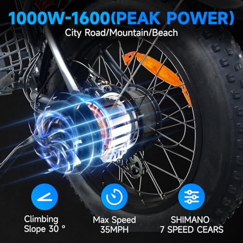 1000W-1600W Peak Power 20" Fat Tire 48V 18.9AH Battery 7 Speed Electric Bike B184