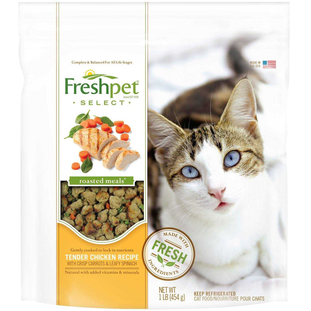 Chicken Tender Recipe Moisture Rich Tender Bites Dry Cat Food Y6005
