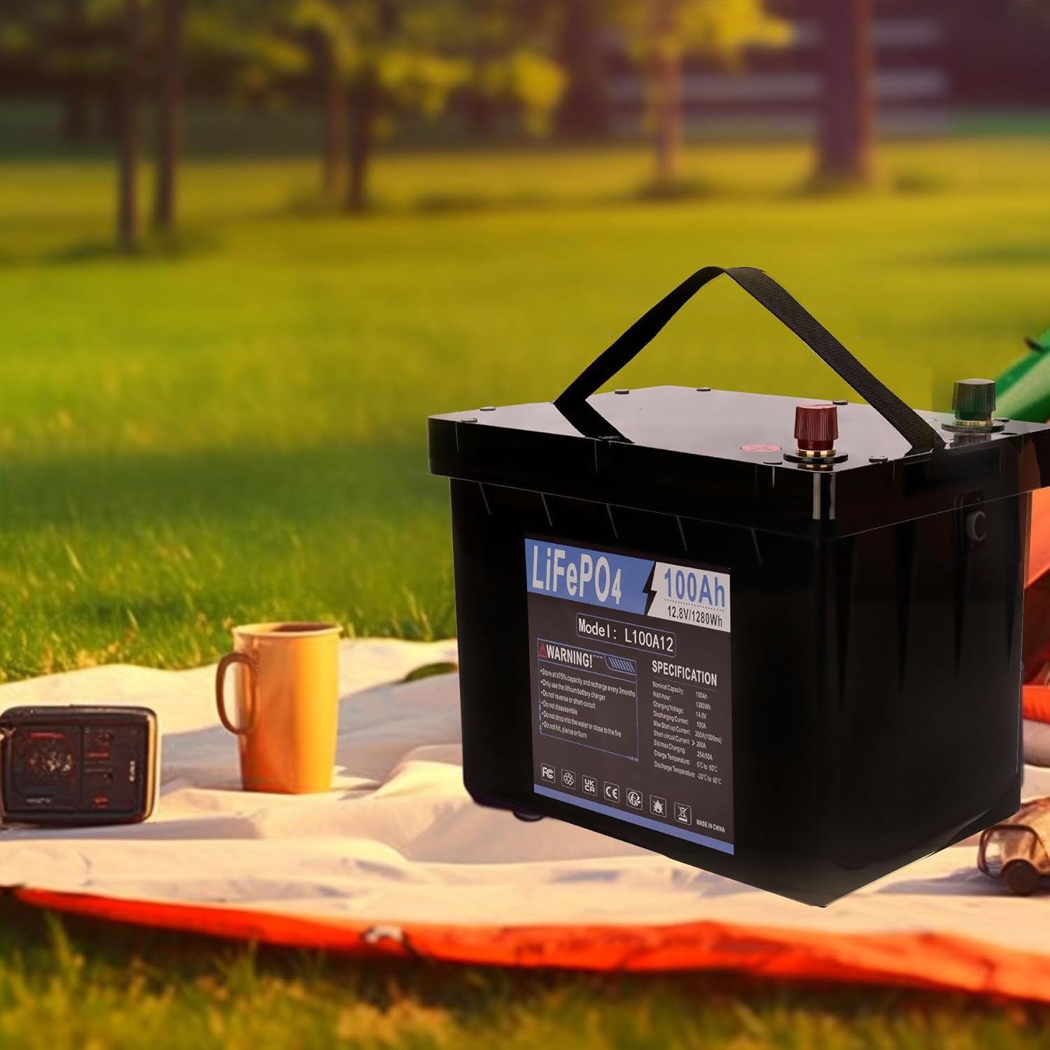 12V 100AH LiFePO4 Lithium Battery 100A BMS B95248