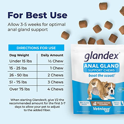 Peanut Butter Soft Chew Treats with Pumpkin for Dogs, 30ct N803754