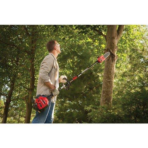 8-Inch Pole Saw with Bar and Chain H46766
