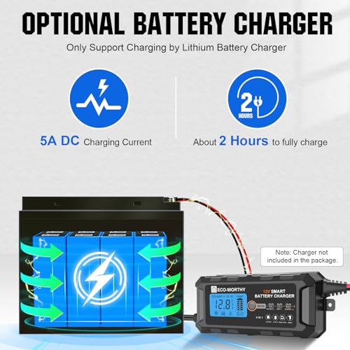 12V 10Ah Lithium LiFePO4 Deep Cycle Battery with Built-in BMS I3029