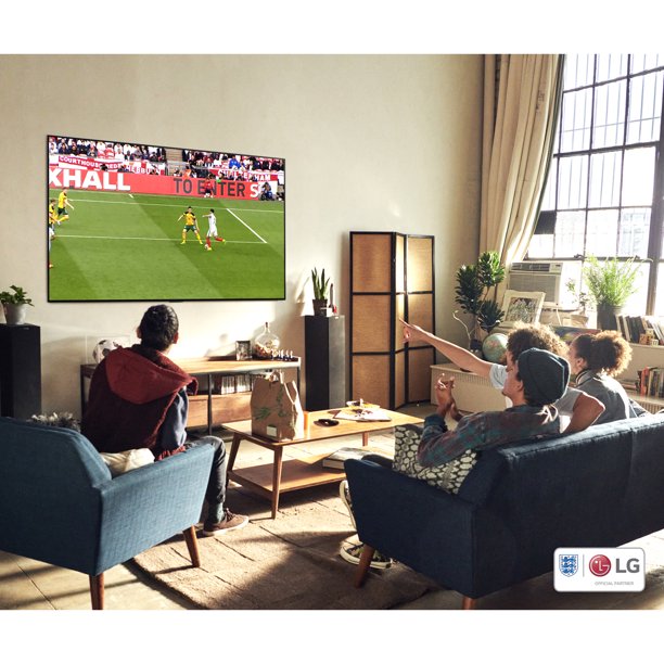 48 Class 4K UHD Smart TV OLED E65488