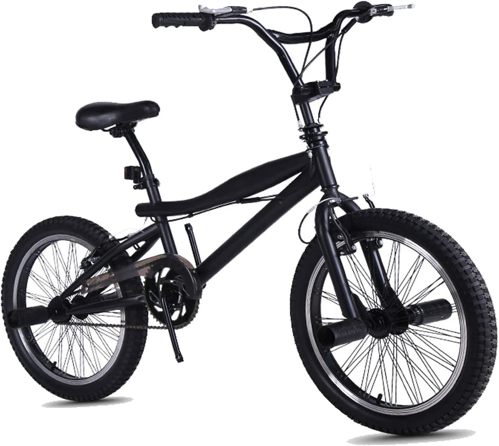 Fat Tire Electric Mountain Bike V2238