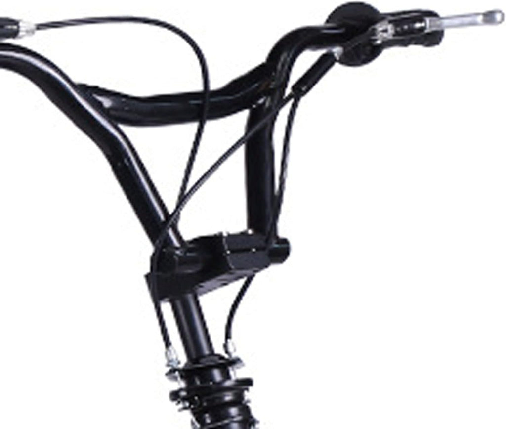 Fat Tire Electric Mountain Bike V2238