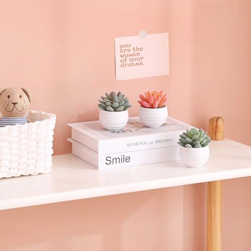 Artificial Faux Succulents in Pots Fake Plants Ceramic Arrangement Planter D665702