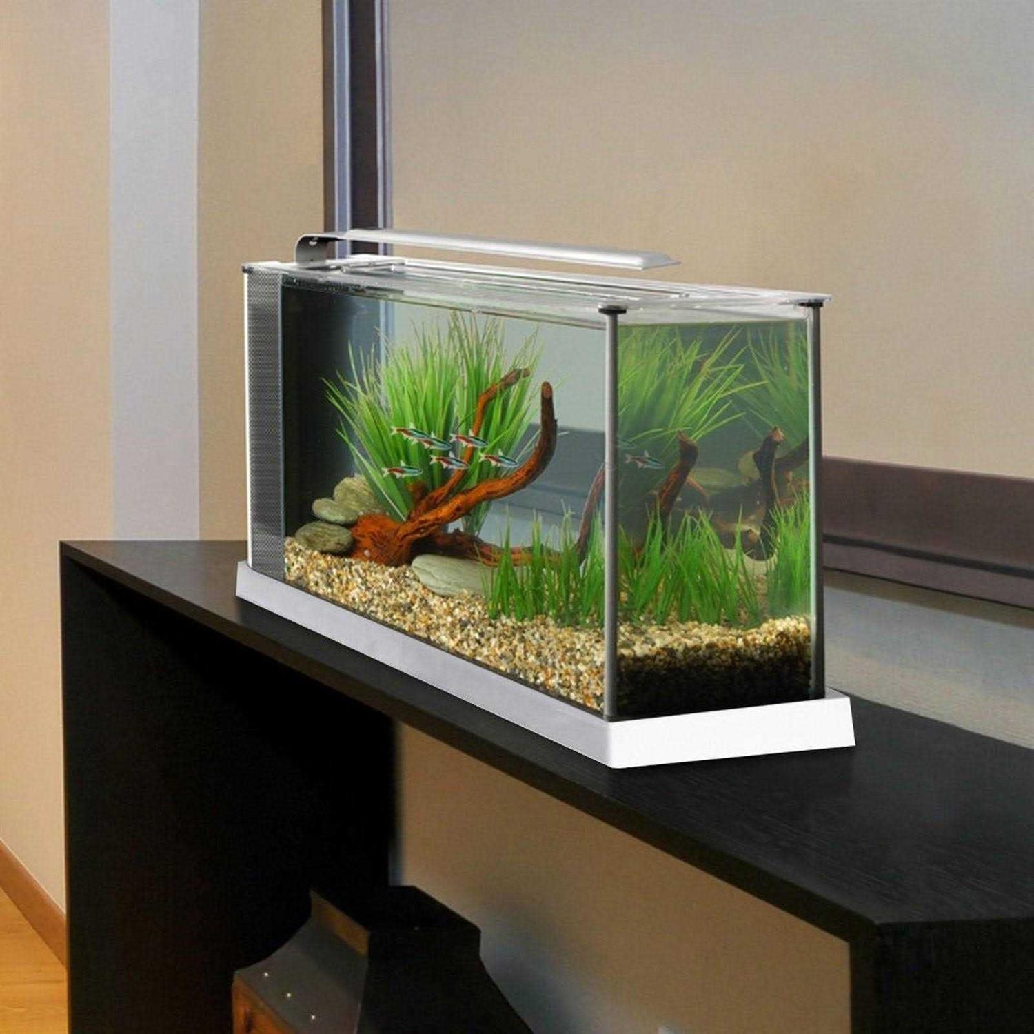 Spec V Aquarium N783251