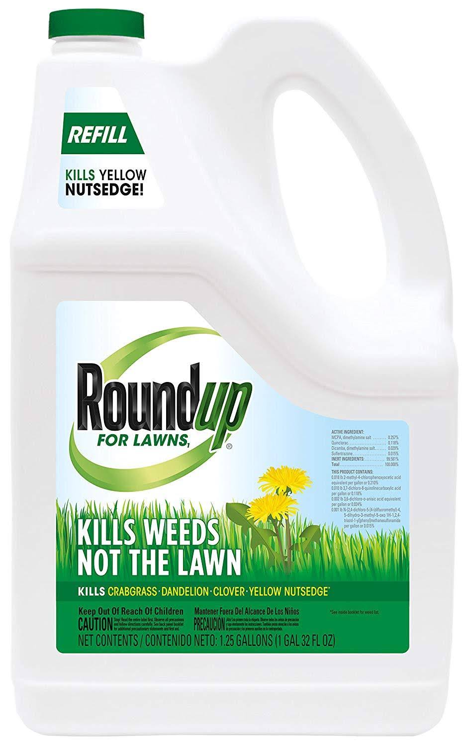 1.25 Gallon Roundup for Lawns Q473963