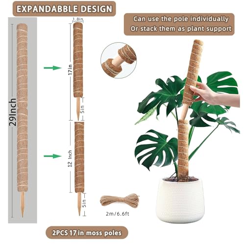 2 Pack 17 Inch Coir Plant Support Stakes K102286
