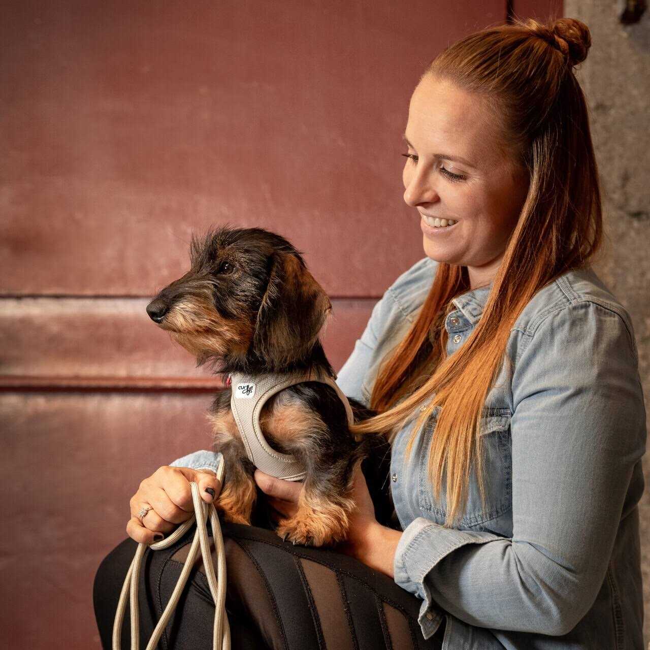 Air-Mesh Vest Dog Harness H450