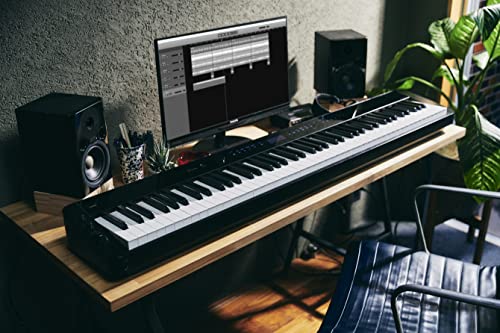 88-Key Weighted Digital Piano with Bluetooth B31176