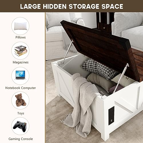 Brown Wood Lift Top Coffee Table with Storage and USB Port R611