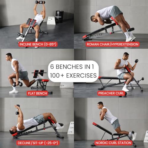 Multi-Functional Weight Bench E724410