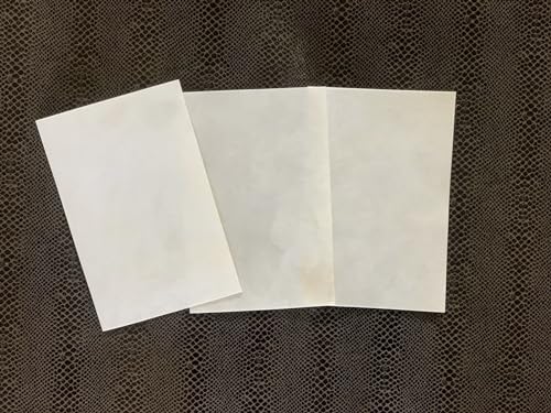 8 × 12 Goatskin Parchment Leather Sheet P695741