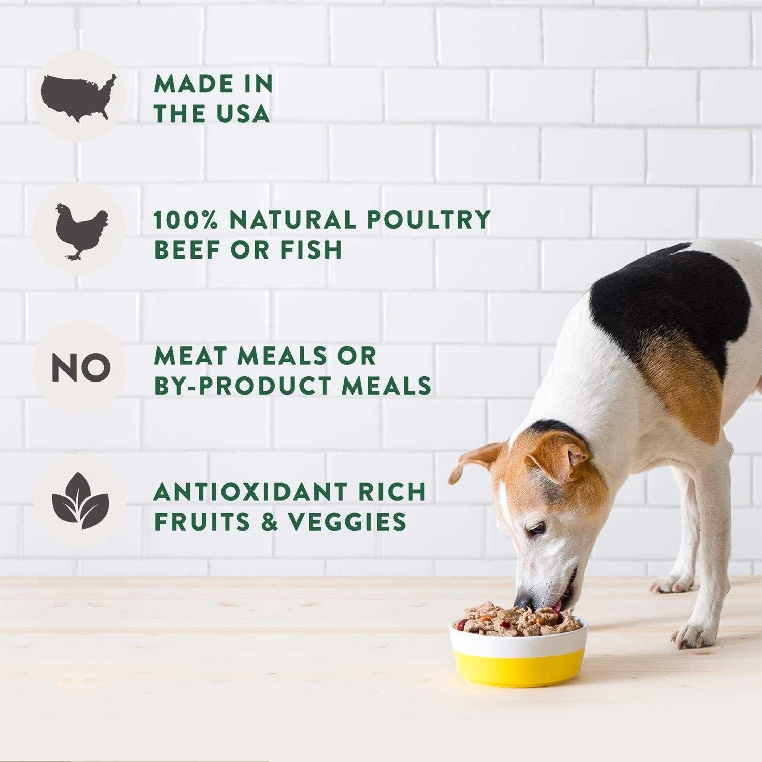 Fresh from the Kitchen Select Home Cooked Chicken Recipe Dog Food I1682
