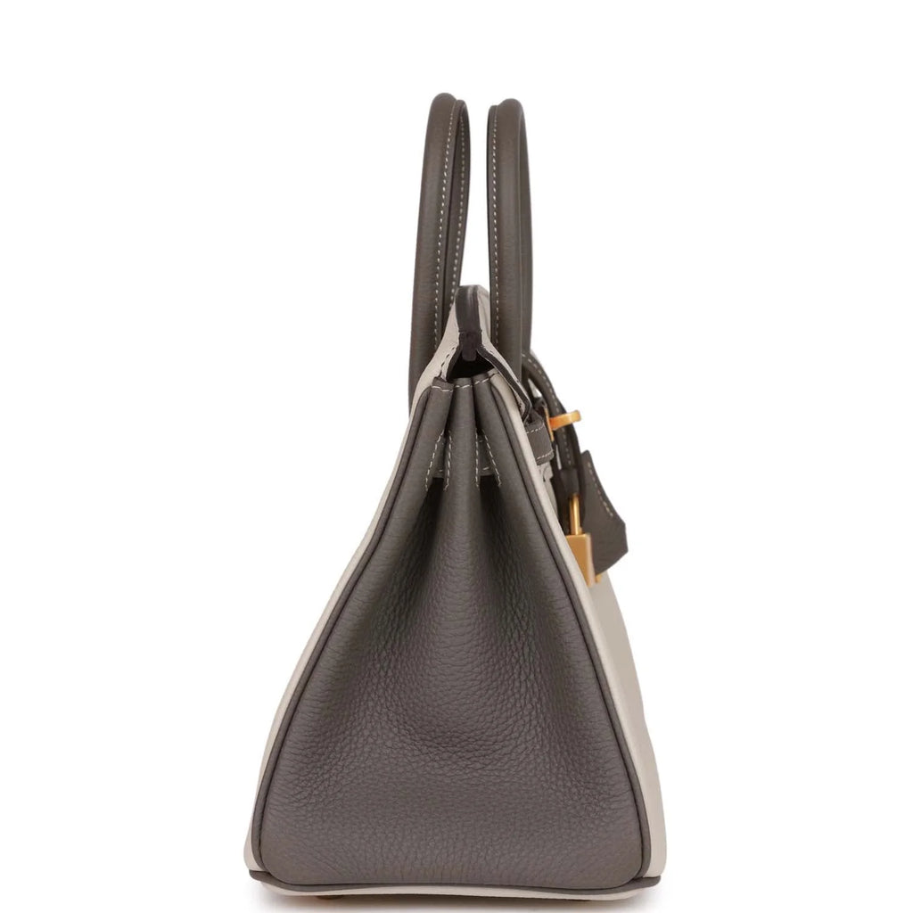Birkin 25 Togo P660
