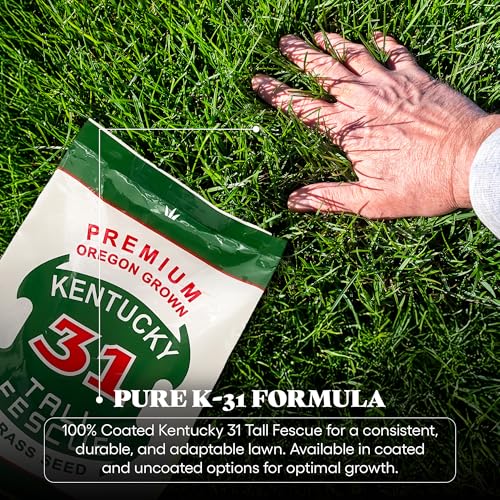 Kentucky 31 Tall Fescue Grass Seed 5 lb Bag P489