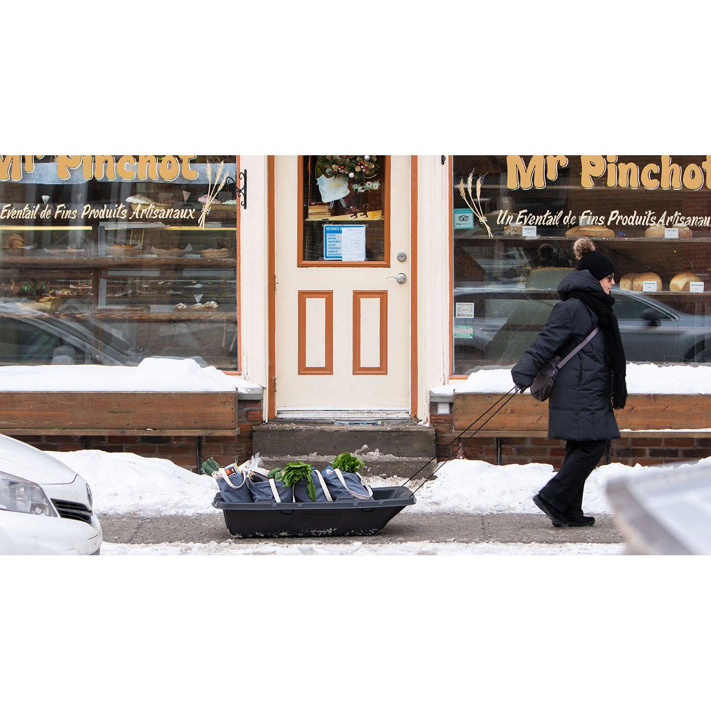 Utility Sled L699965