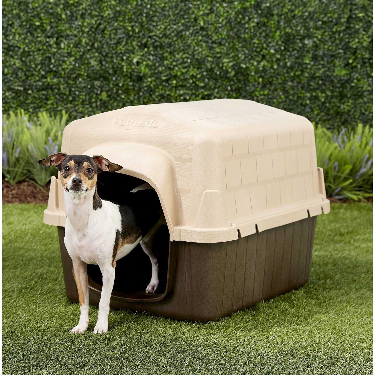 3 Dog House N304249