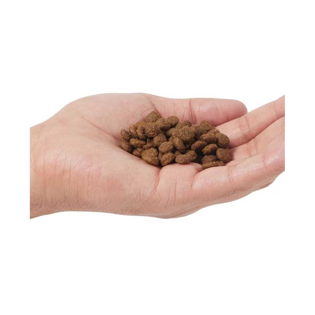 Grain Free Dry Cat Food Z28343