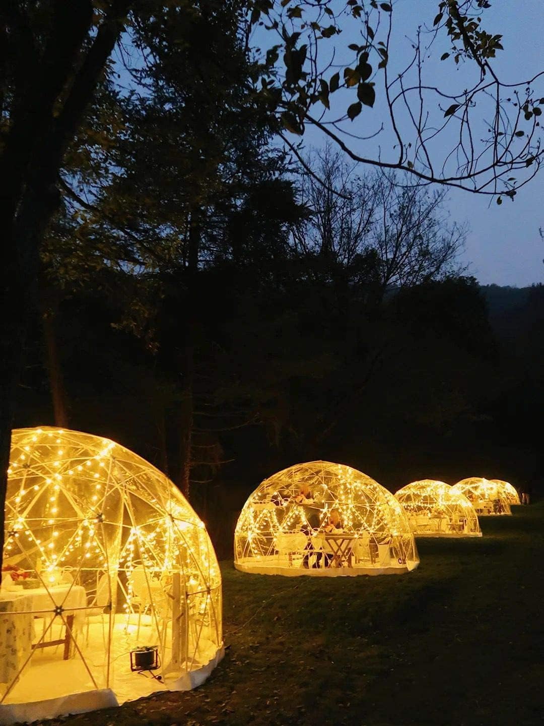 12ft Clear Geodesic Dome Tent A359