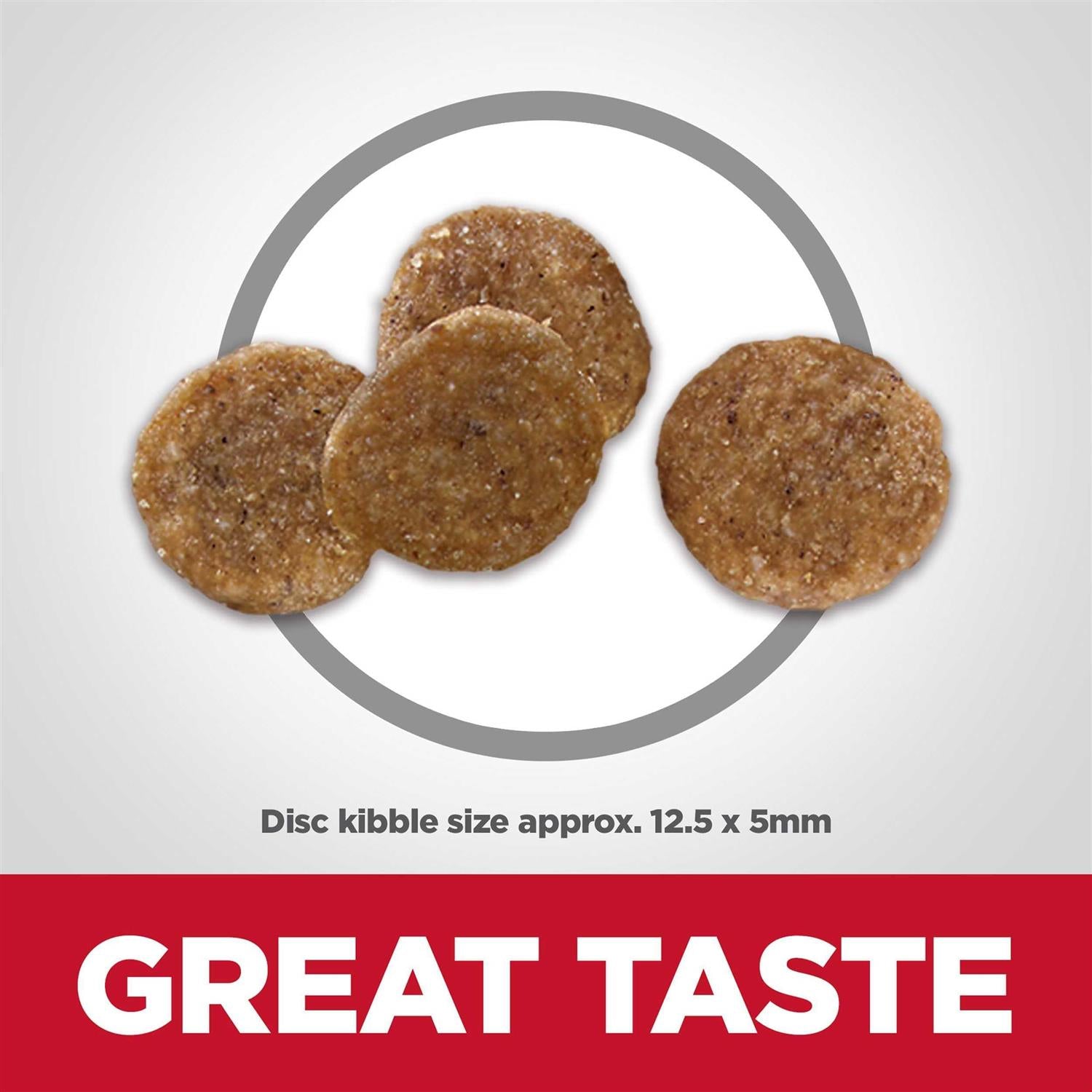 Adult Chicken Dry Dog Food B637