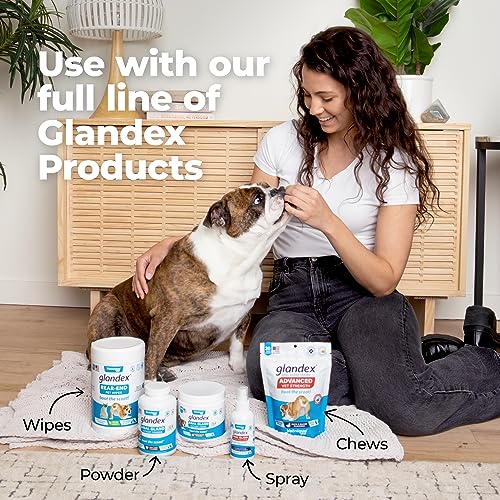 Peanut Butter Soft Chew Treats with Pumpkin for Dogs, 30ct N803754