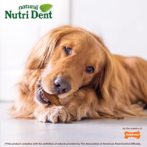 Natural Dog Dental Chews, Large (20 Count) Q96076