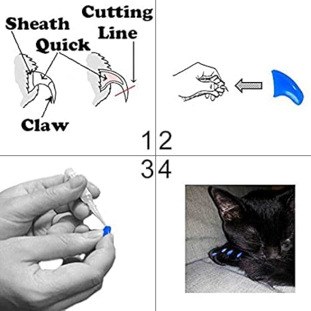 Soft Nail Caps for Cats W24849