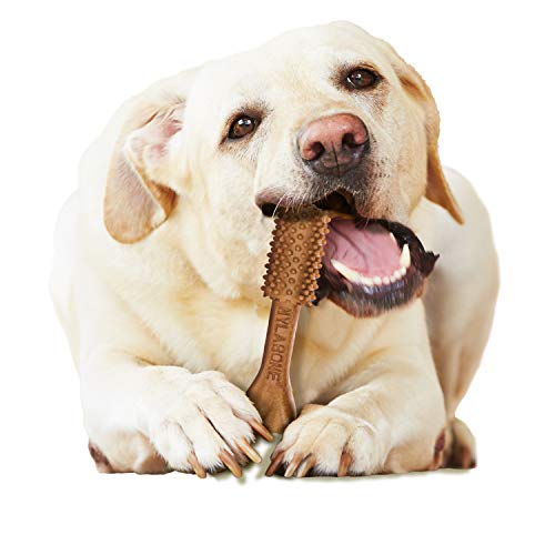 Natural Dog Dental Chews, Large (20 Count) Q96076
