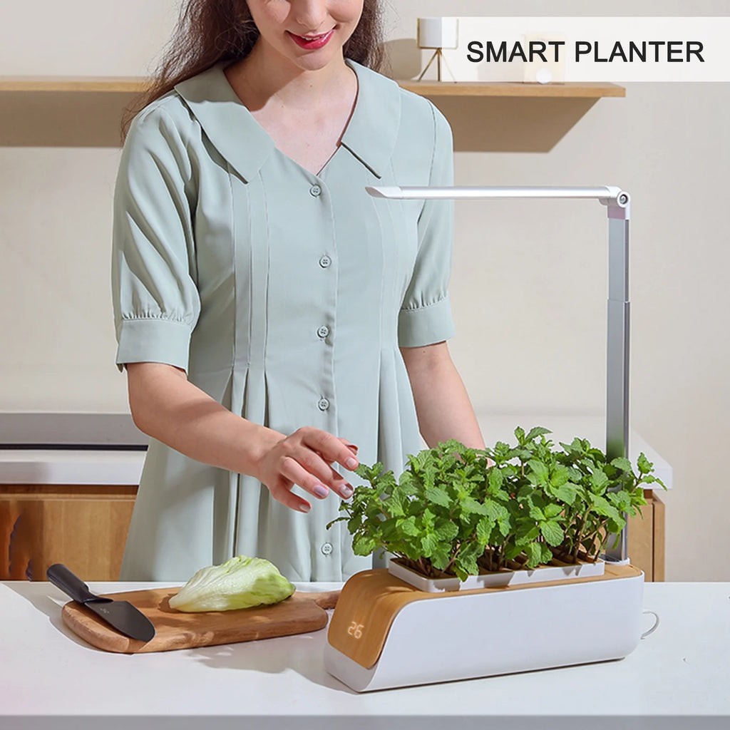 Indoor Herb Garden Kit with Grow Light K489499