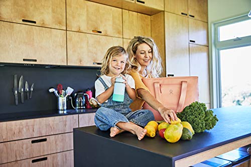Reusable Insulated Waterproof Lunch Bag P172