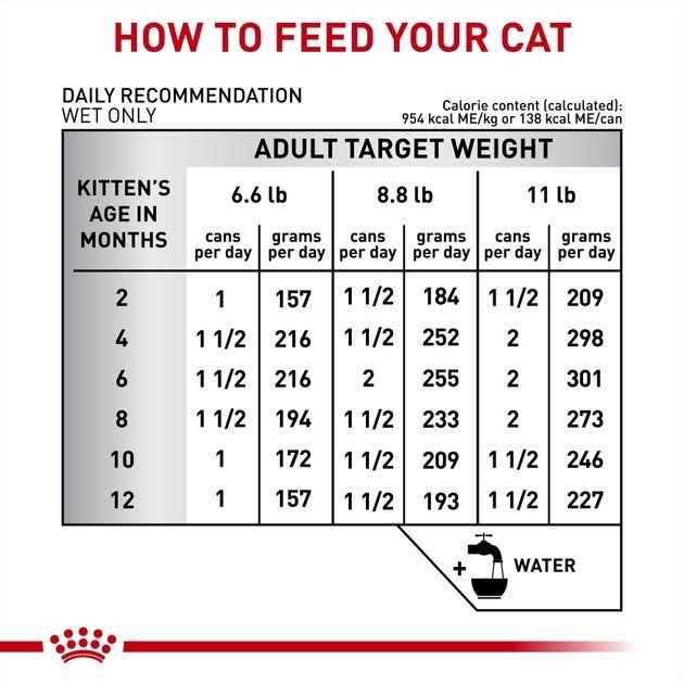 Veterinary Diet Gastrointestinal Kitten Ultra Soft Mousse in Sauce Canned Cat Food E62963
