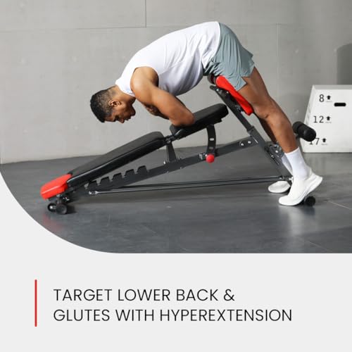 Multi-Functional Weight Bench E724410