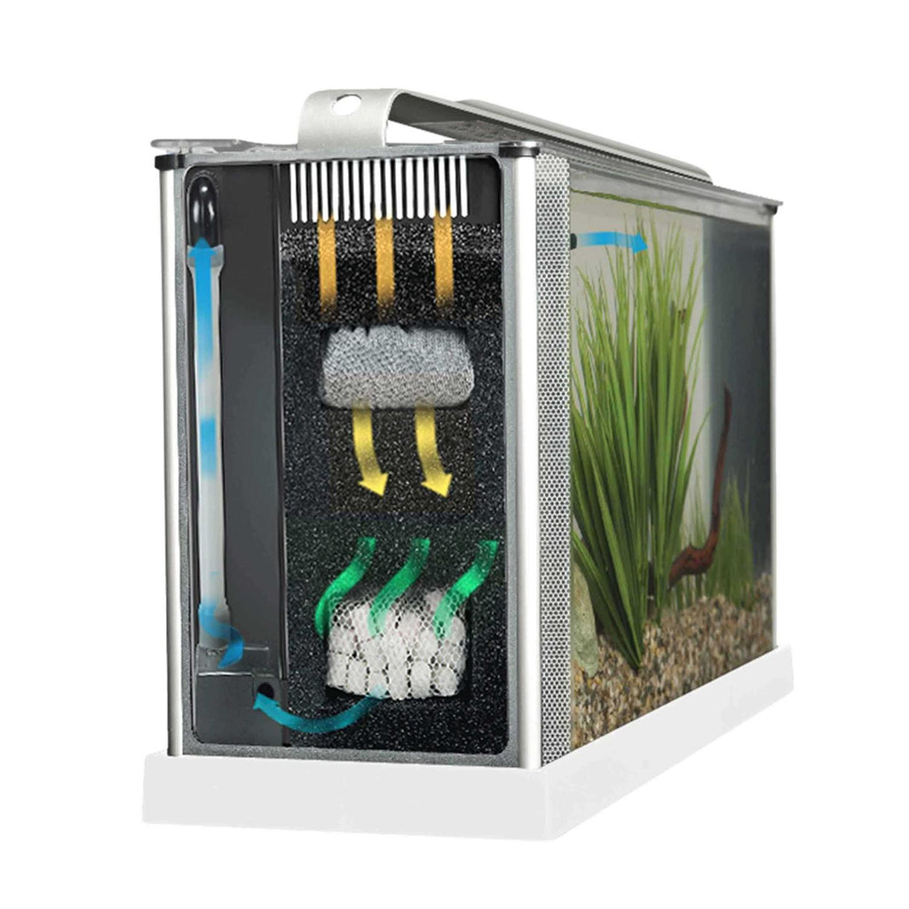 Spec V Aquarium N783251