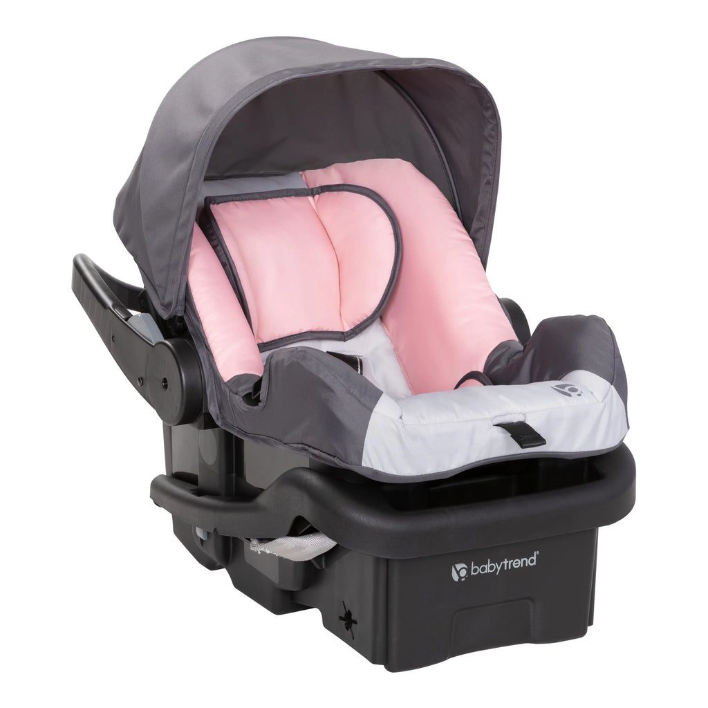 Pink Flamingo Travel System Stroller Z1387