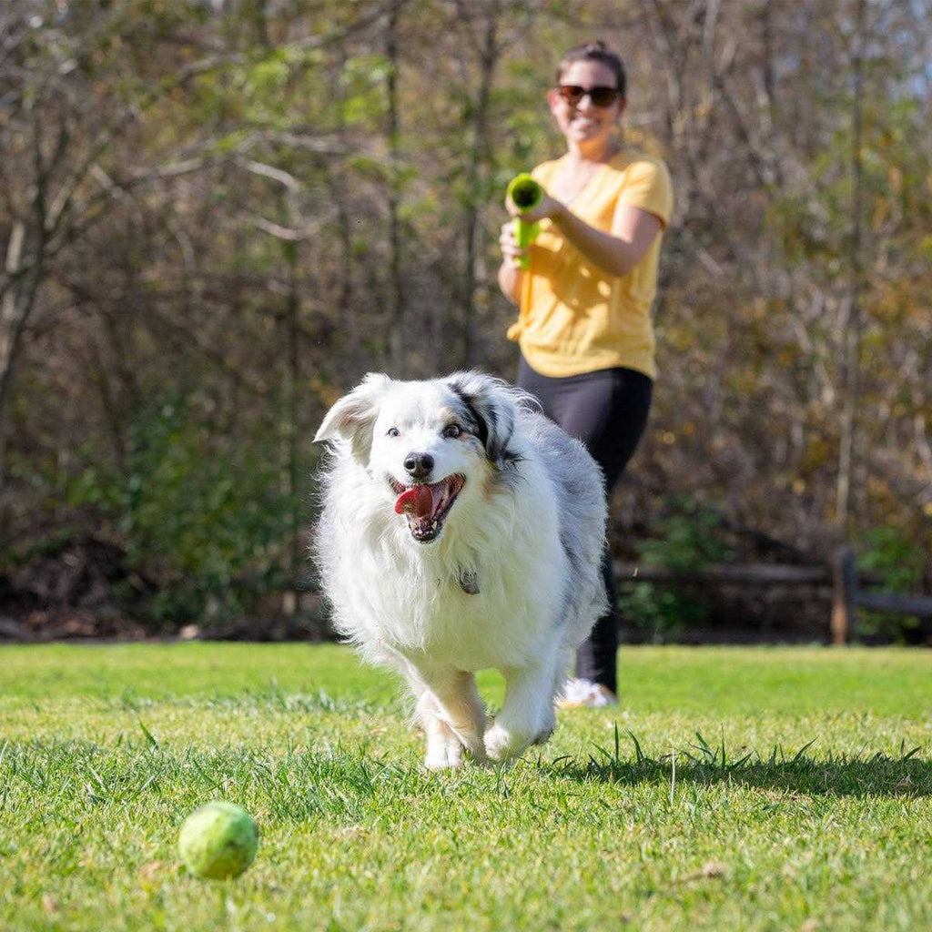 K9 Kannon Ball Launcher G677995