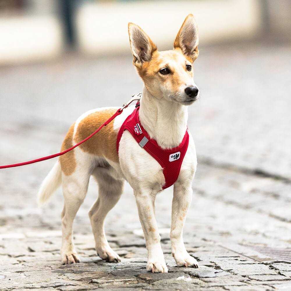 Air-Mesh Vest Dog Harness H450