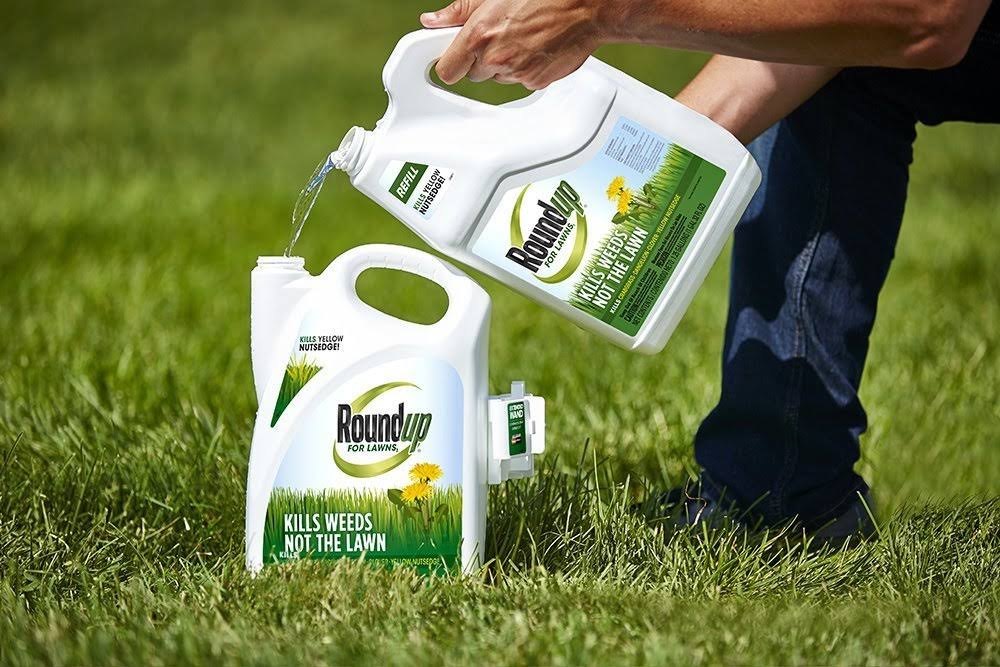 1.25 Gallon Roundup for Lawns Q473963