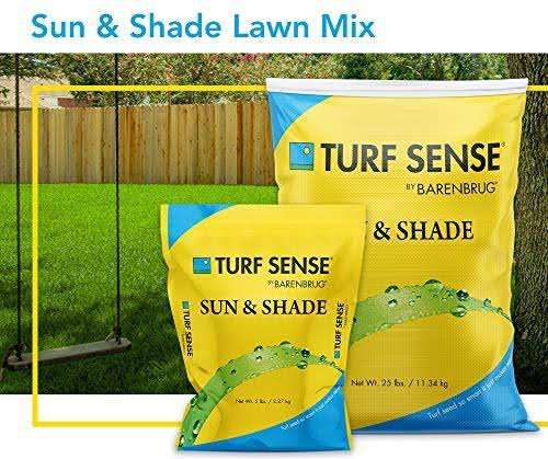Sun & Shade Mix Grass Seed V194