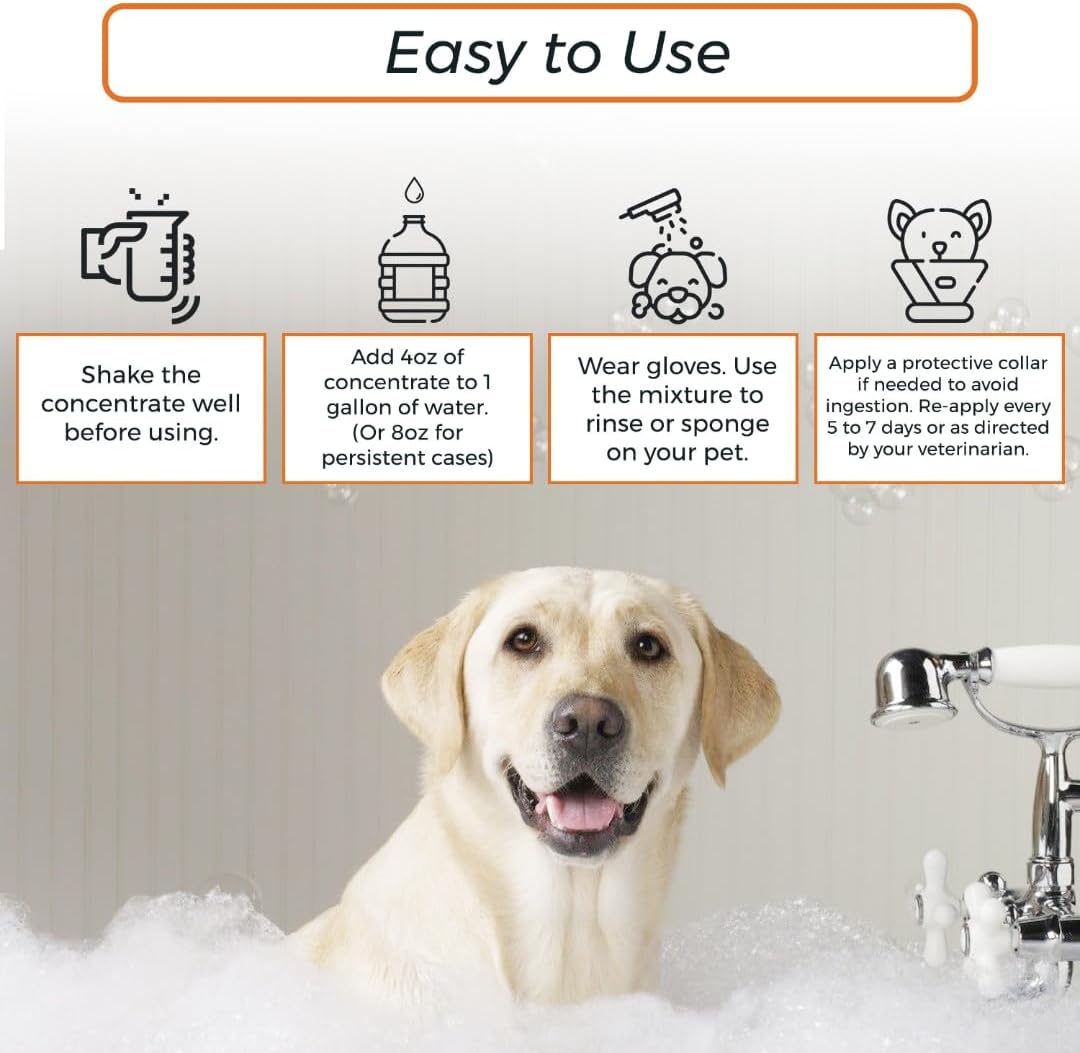 Lime Sulfur Dip and Sulfur Salicylic Acid Dog Shampoo - 1 Gallon Each M13979
