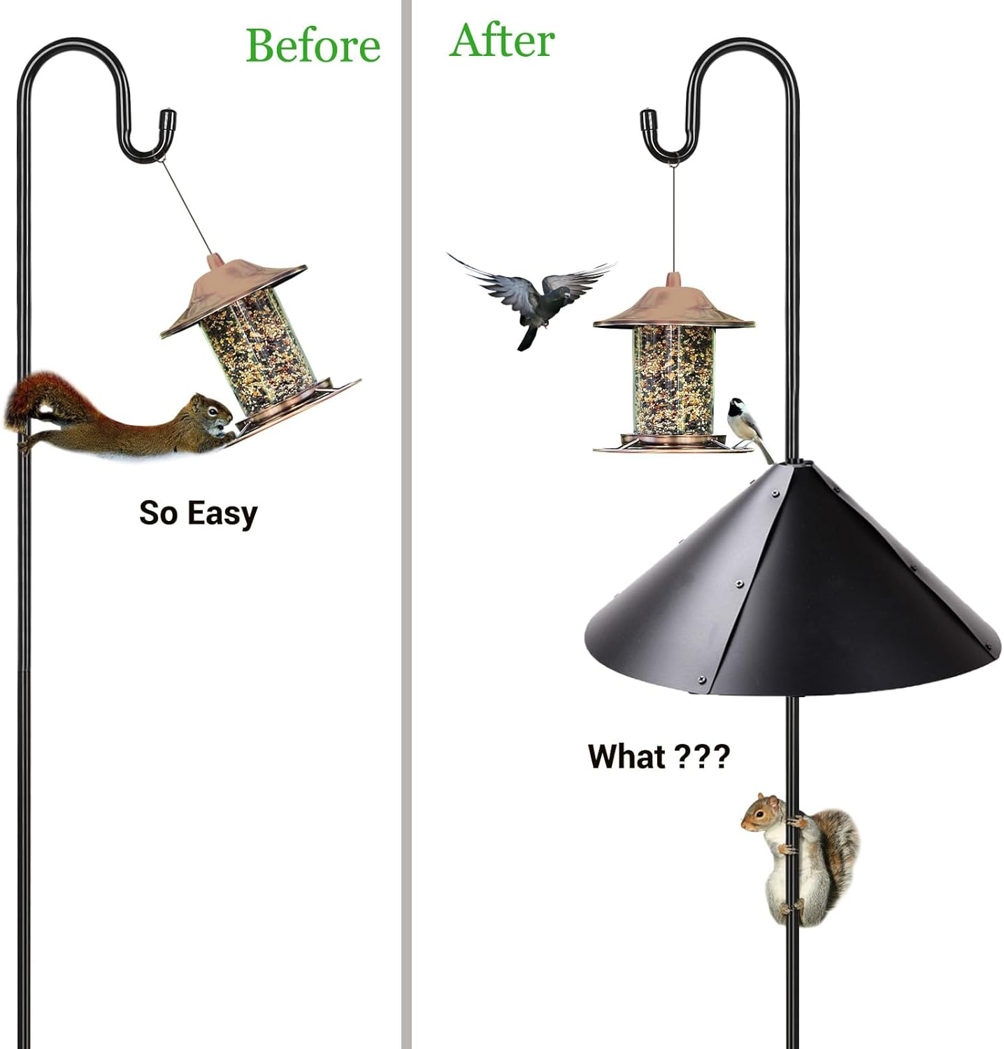 Black 1 Pack Squirrel Baffle for Bird Feeder Pole G10653