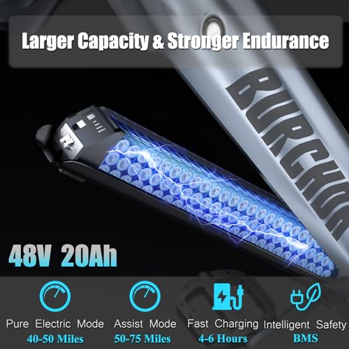 26''x4.0 Inch Fat Tire Electric Bike with 48V 30Ah Battery Y3507