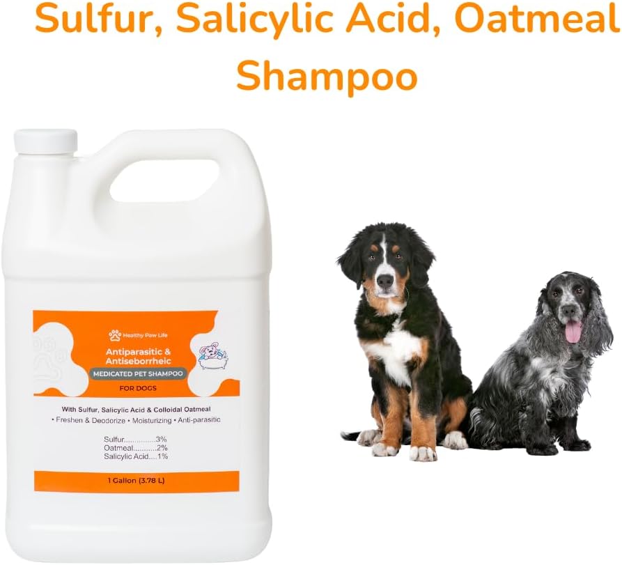 Lime Sulfur Dip and Sulfur Salicylic Acid Dog Shampoo - 1 Gallon Each M13979