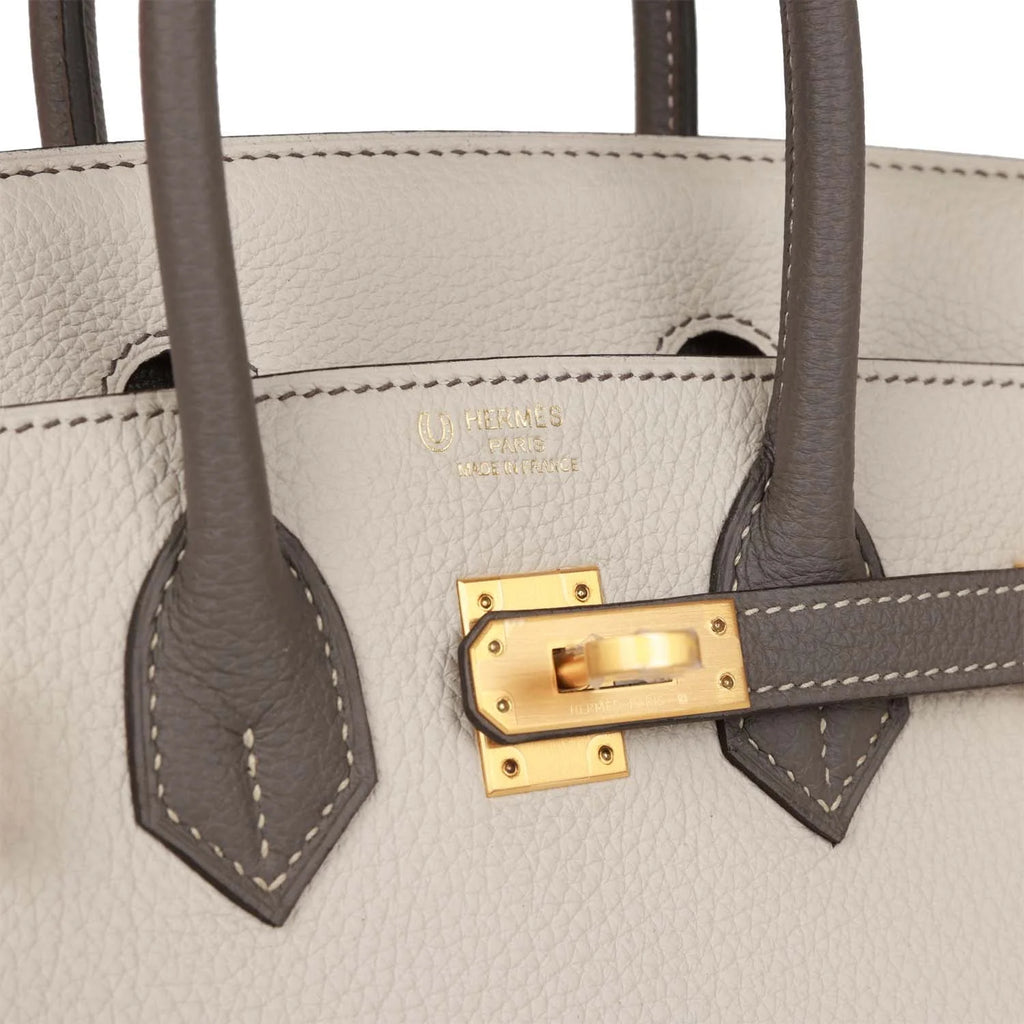 Birkin 25 Togo P660