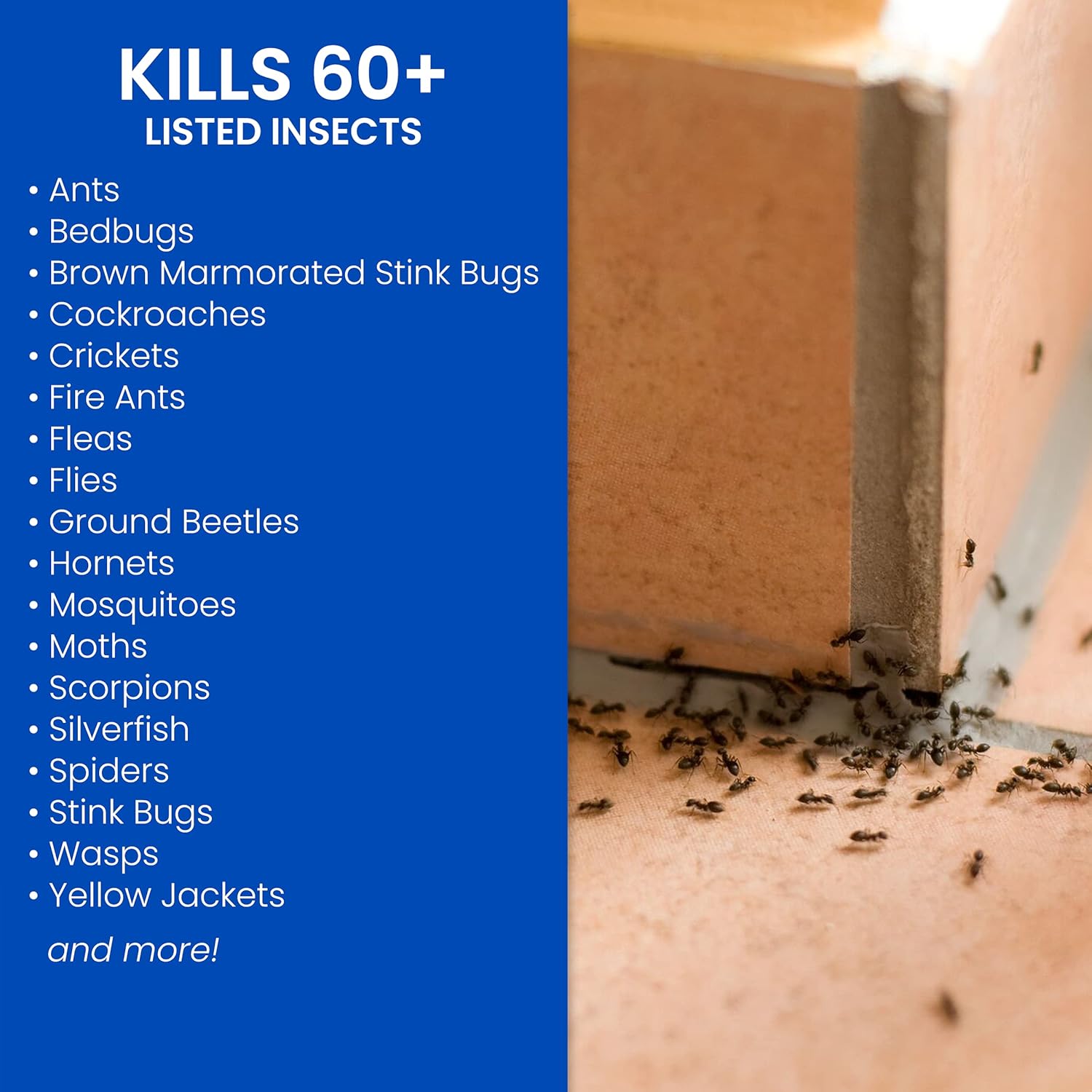 24 oz Complete Insect Killer with Germ Killer M561810