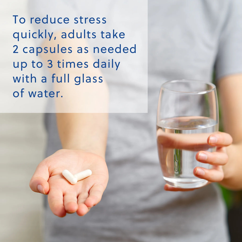 60 Capsules Mood Support Supplement with Ashwagandha, L-Theanine, and Passionflower S6383