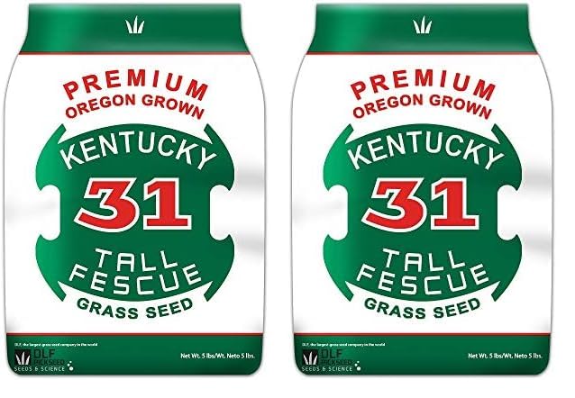 Kentucky 31 Tall Fescue Grass Seed 5 lb Bag P489
